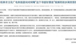 知名导游爆料视频,知名导游爆料视频深度解析